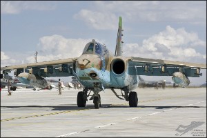 D71_8645